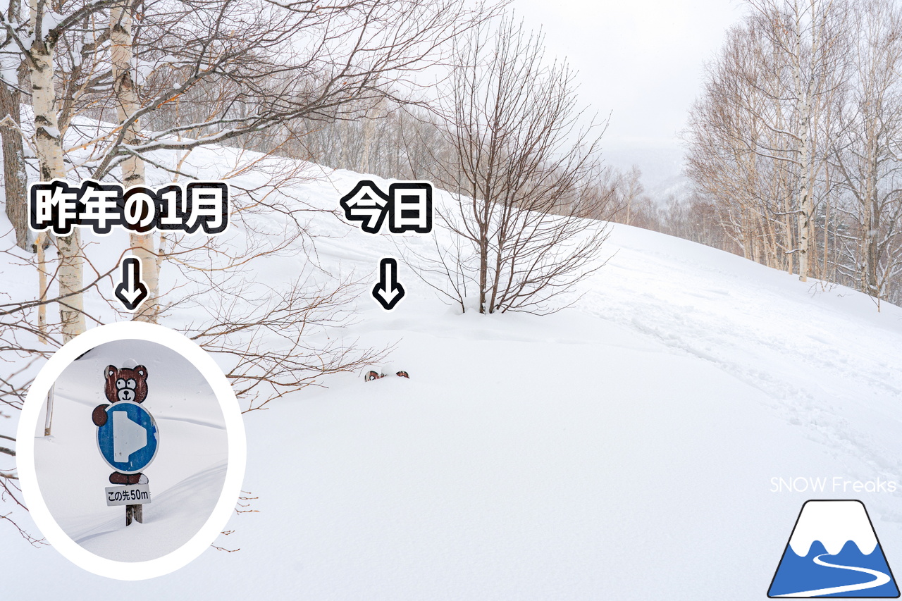 増毛町営暑寒別岳スキー場｜なんと、現在の積雪は、驚異の「280cm」！豪雪当たり年の暑寒別岳スキー場、最高です。